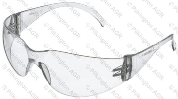 T10712 SAFETY GLASSES JAGUAR